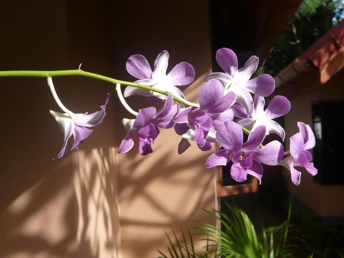 The Pace Phuket Boutique Resort Rawai Εξωτερικό φωτογραφία